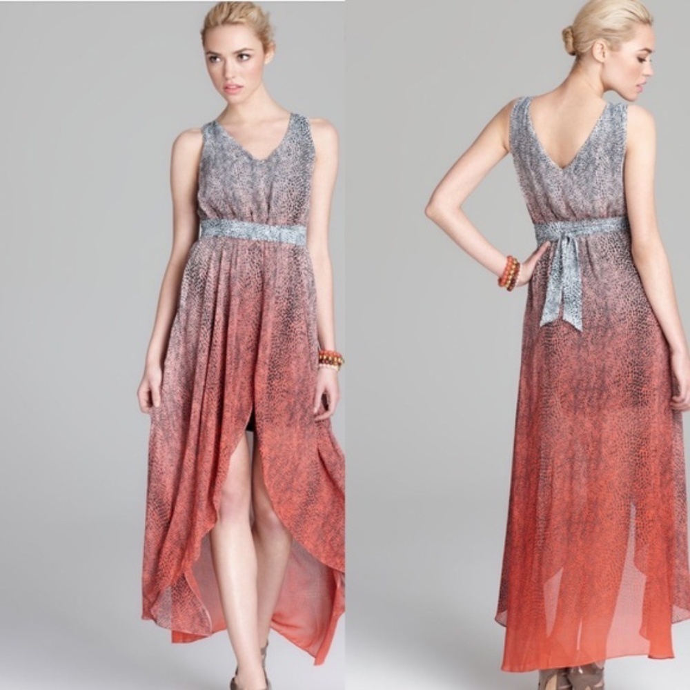 GUESS Ombré Animal Print high low Maxi dress SZ S